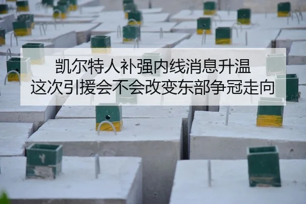 凯尔特人补强内线消息升温 这次引援会不会改变东部争冠走向 | DouYu